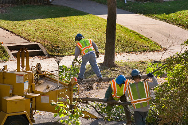 Mulching Services in El Cajon, CA